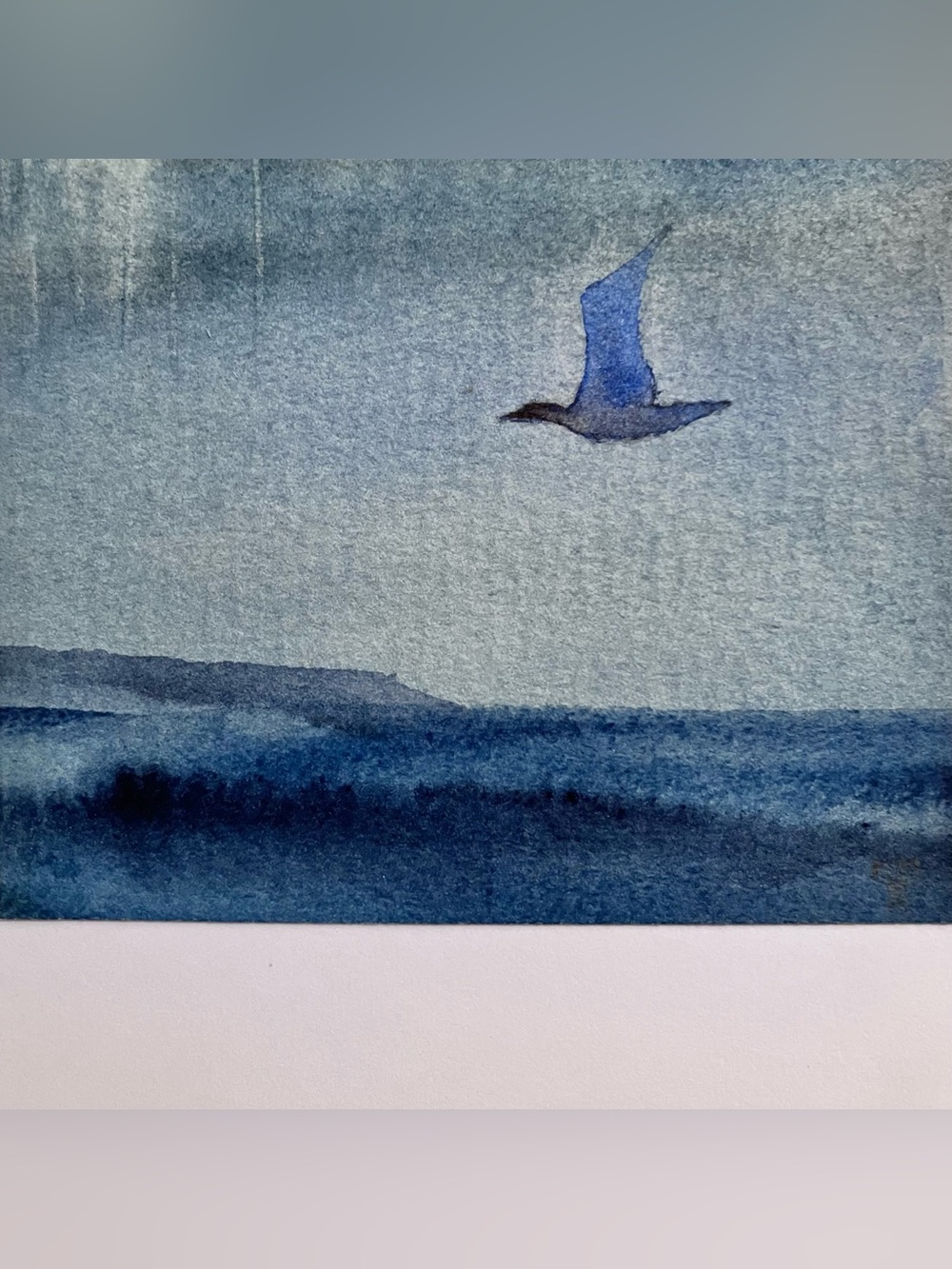 ORIGINAL WATERCOLOR by Allison Spreadborough / BIRD IN FLIGHT / 3.75 x 5.25 In. - Picture 4 of 7